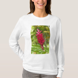 Fiji, Viti Levu eiland. Bloem. T-shirt