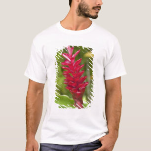 Fiji, Viti Levu eiland. Bloem. T-shirt
