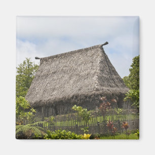 Fiji, Viti Levu eiland. Polynesische cultuur Magneet