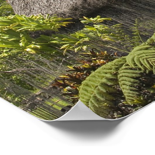 Fiji, Viti Levu Island. Polynesiaanse cultuur Poster (Hoek)