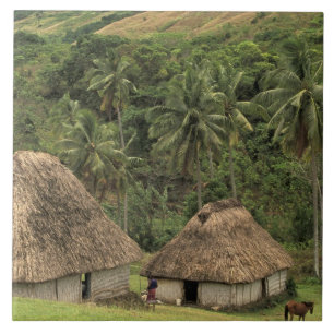 Fiji, Viti Levu, Navala, Traditional Bure houses Tegeltje