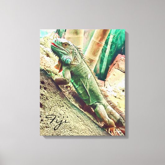 Fijian Iguana lizard reptile Canvas Afdruk (Voorkant)