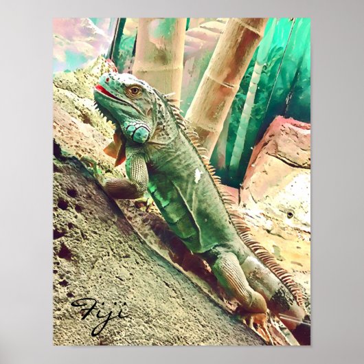 Fijian Iguana lizard reptile Poster (Voorkant)