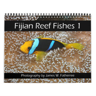 Fijian Reef FishCalendar 1 Kalender