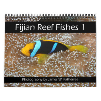 Fijian Reef FishCalendar 1 Kalender
