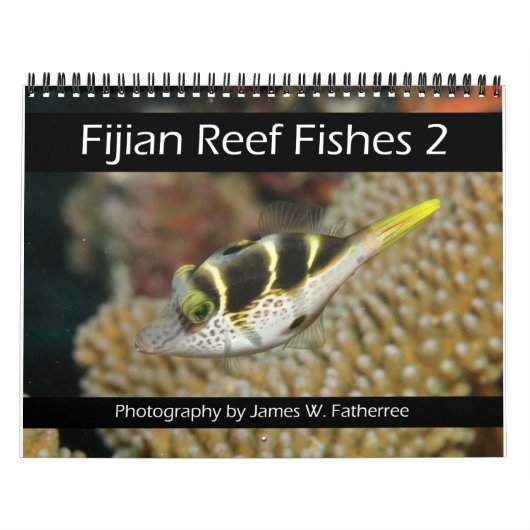 Fijian Reef Fishkalender 2 Kalender (Hoes)