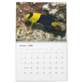 Fijian Reef Fishkalender 2 Kalender (Jan 2026)