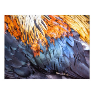 Fijn Kunst Veer Foto Afdruk