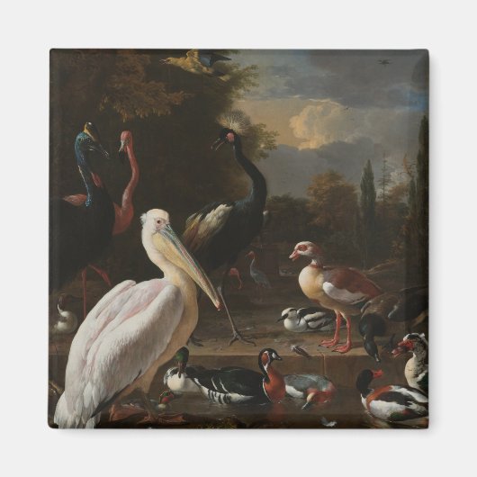 Fijnboomvogels Magneet (Voorkant)