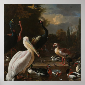 Fijnboomvogels Poster