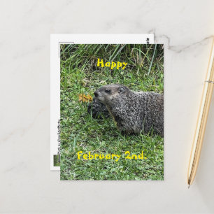 Fijne 2 februari Aangepaste Grondhond Postkaarten