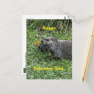 Fijne 2 februari Aangepaste Grondhond Postkaarten