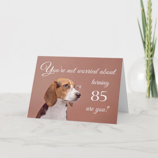 Fijne 85ste verjaardag, bezorgd beagle kaart (Voorkant)