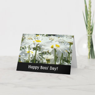 Fijne Baasdag! kaarten Witte Madelief Bloemen Baze