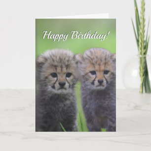 Fijne Birthday Cute Cheetah Verwant Cubs Kaart