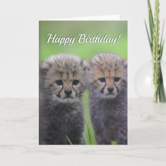 Fijne Birthday Cute Cheetah Verwant Cubs Kaart