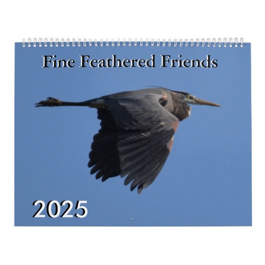 Fijne Feathered Friends 2025 Kalender (Hoes)