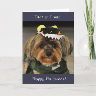 Fijne Halloween! Trick or treat Yorkshire Terrier Kaart