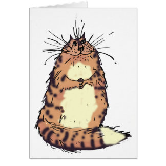 Fijne kat