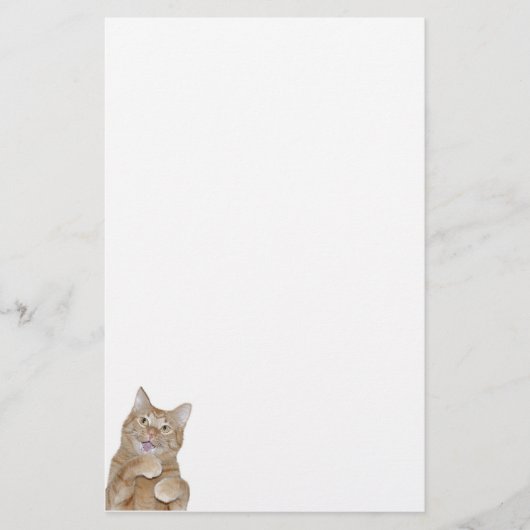Fijne kat briefpapier (Voorkant)