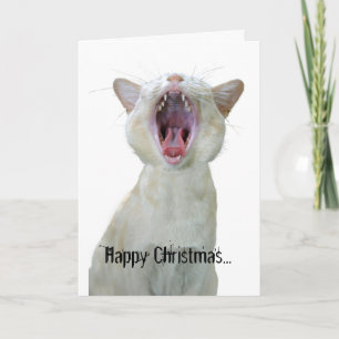 Fijne kerstdagen voor alle leuke katten! feestdagen kaart