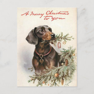 Fijne Kerstmis Teckel Briefkaart
