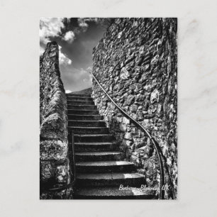 Fijne Kunst, Barbican Stappen, Plymouth Briefkaart