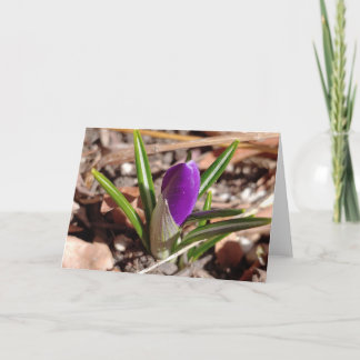 Fijne lente! Paarse krokus Kaart