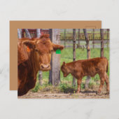 Fijne Moederdag! Briefkaart (Voorkant / Achterkant)