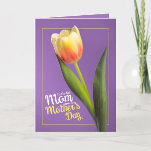 Fijne Moederdag Mooie Gele Tulp op Paars Feestdagen Kaart