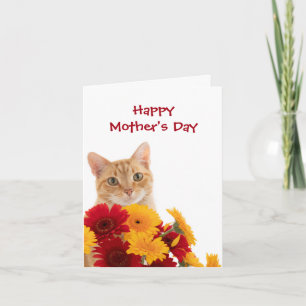 Fijne Moederdag Mooie Kat wenskaart Kaart