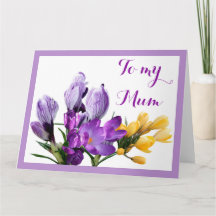 Fijne Moederdag paarse gele krokus bloem