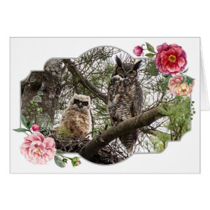 Fijne Moederdag, uilen