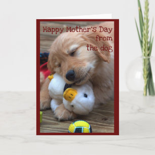 Fijne Moederdag van de hond Kaart