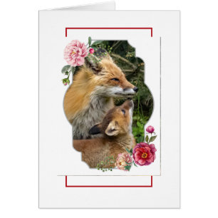 Fijne Moederdag, vossen