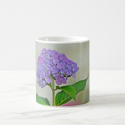 Fijne Mok Hydrangea (Center)