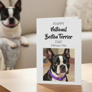 Fijne Nationale Boston Terrier Dag 19 februari Kaart