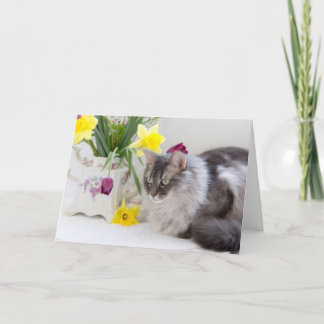 Fijne Nationale Dag van de Broers en Zussen! Kaart