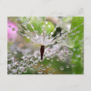 Fijne Paardenbloem Abstract Briefkaart