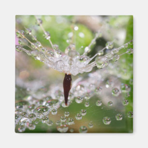Fijne Paardenbloem Abstract Magneet