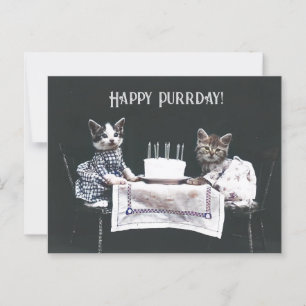 Fijne Purrdag Moppige Katten Retro Verjaardag Briefkaart