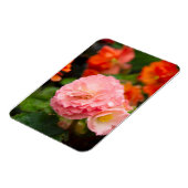 Fijne roze bloem na de regen magneet (Linkerzijde)