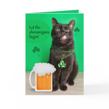 Fijne St Patricks Day Funny Cat with Beer