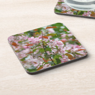 Fijne tak met bloemen appelboom bier onderzetter