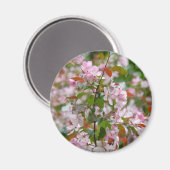 Fijne tak met bloemen appelboom magneet (Voorkant / Achterkant)