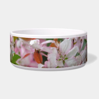 Fijne tak met bloemen appelboom voerbakje