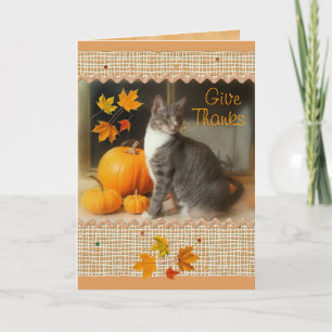 Fijne Thanksgiving Kaart met poezen en pompoenen