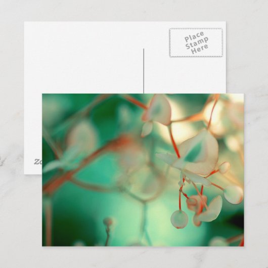 Fijne val briefkaart (Voorkant / Achterkant)