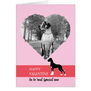 Fijne Valentijn mijn grote Deense dog