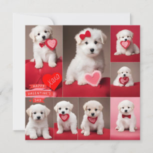 Fijne Valentijnsdag Honden Feestdagenkaart
